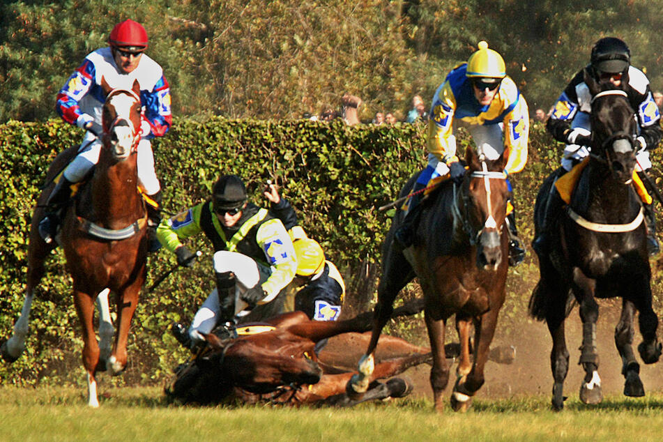 2006 stürzte der tschechische Jockey Michal Köhl auf seinem deutschen Pferd Brambusch nach dem "Taxis Ditch" schwer. (Archivbild)