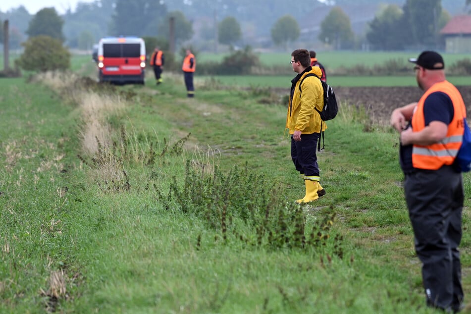 Freiwillige Helfer suchen an der polnischen Grenze nach toten Wildschweinen.