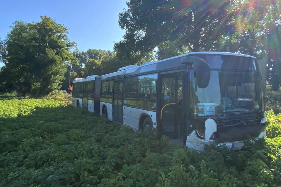 Der Linienbus blieb bei dem Unfall laut der Ratinger Feuerwehr relativ unbeschädigt.
