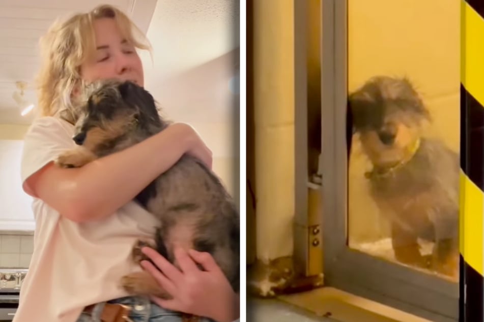 Frau sucht nach Hund im Tierheim: Was sie dann sieht, lässt nicht nur ihr Herz schmelzen