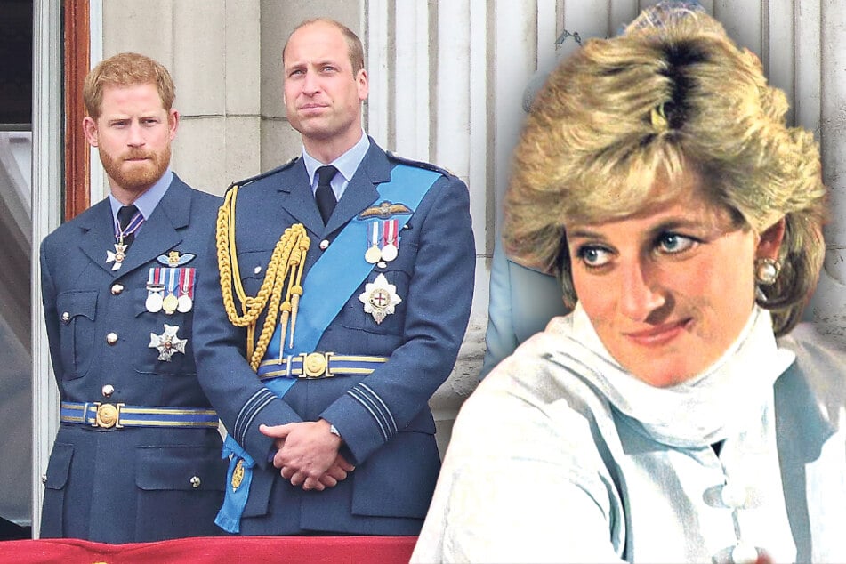 Harry & William völlig überrumpelt: Neue Geheim-Doku über Prinzessin Diana