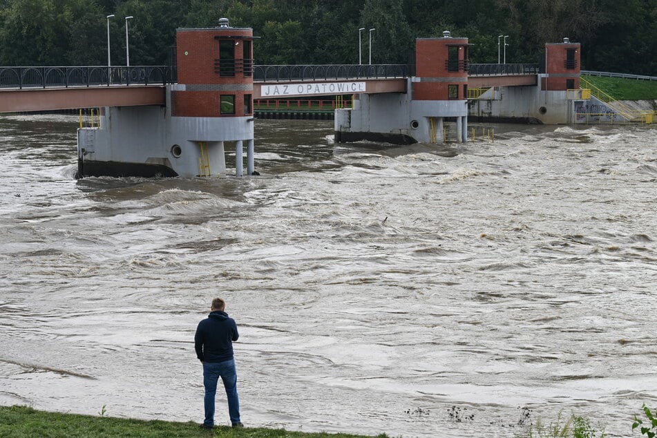 Mittwochnacht wird die Welle Breslau erreichen. Schon jetzt führt die Oder deutlich mehr Wasser als üblich.