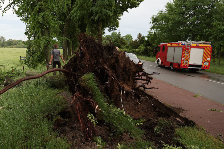 Ein mutmaßlicher Tornado hat in Lippstadt am Freitagnachmittag massive Schäden verursacht.