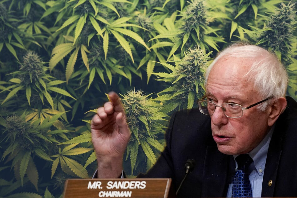 Bernie Sanders and other US progressives are calling for marijuana legalization on 4/20 (stock image).