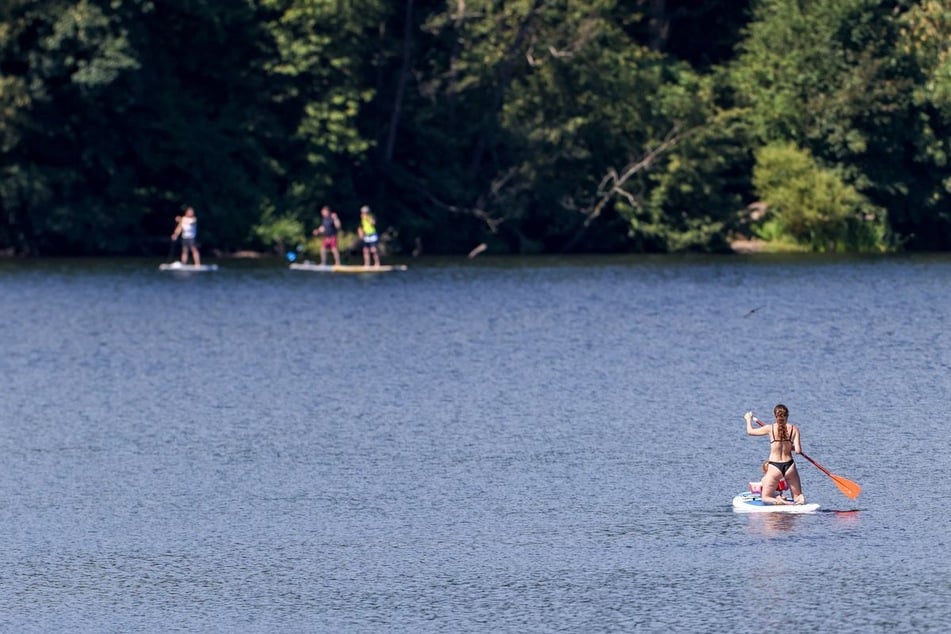 Auf dem Fühlinger See in Köln können unter anderem auch Stand-up-Paddling-Boards und Kanus gemietet werden. (Symbolbild)