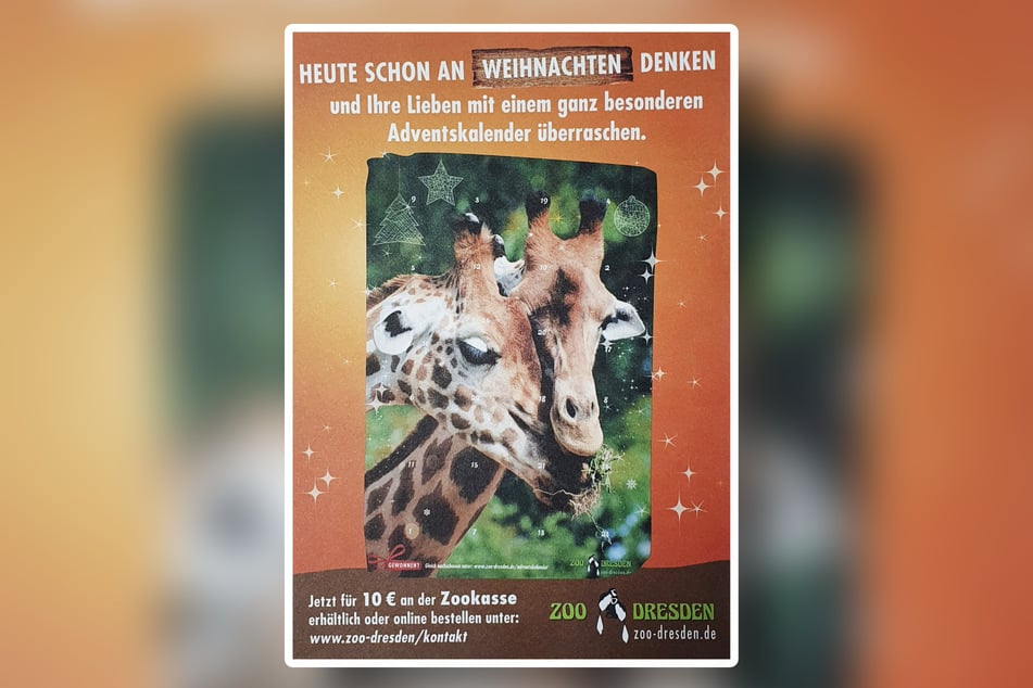 Wer den Zoo unterstützen möchte, kann jetzt einen von insgesamt 4000 Adventskalendern kaufen.