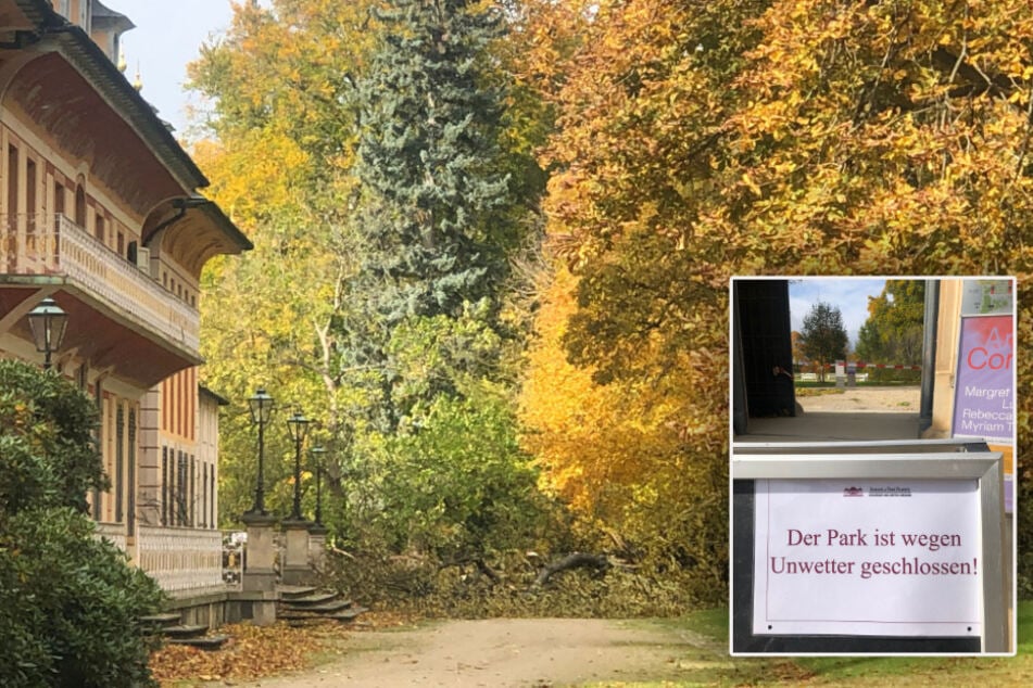 Bilder aus dem Schlosspark Pillnitz. Dieser wurde wegen "Hendrik" inzwischen geschlossen.