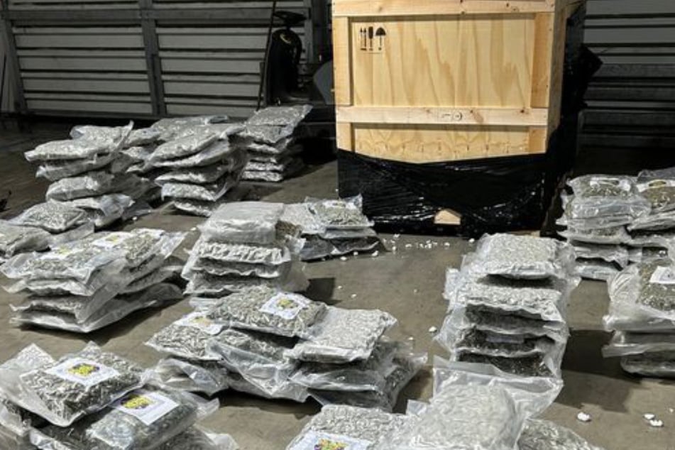 In Container mit Bürostühlen: Zoll findet 1,2 Tonnen Drogen, der Wert macht sprachlos