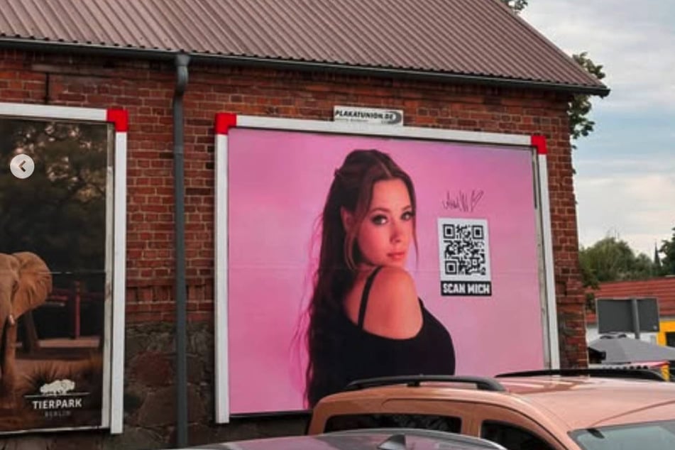 Hier hängt Anne Wünsches Plakat an einer Hauswand direkt neben einem Werbeposter für den Tierpark Berlin.