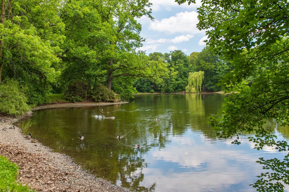 Ziel des Spaziergangs ist der Stadtparkteich.