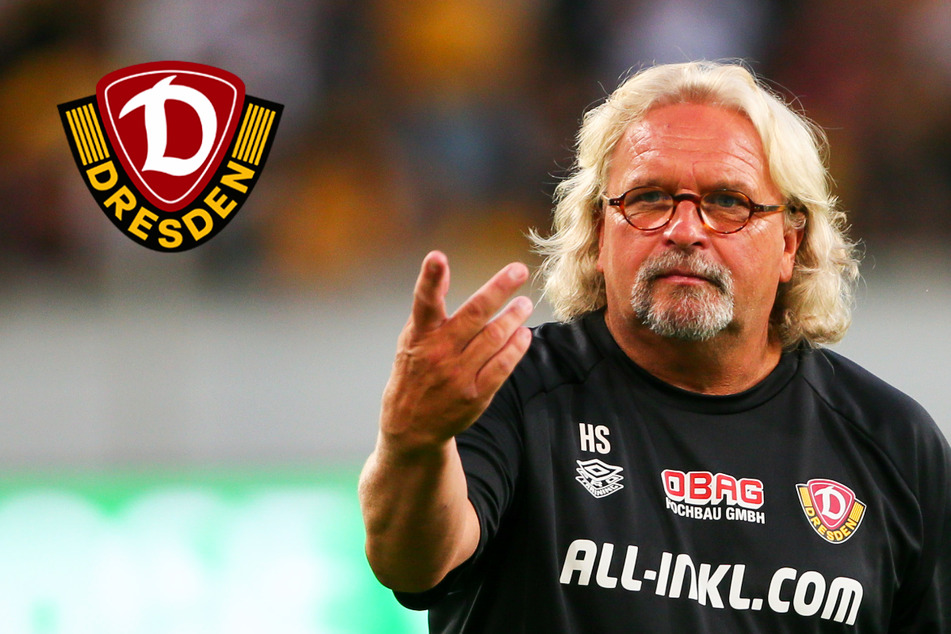 Herzensverein Dynamo! Heiko Scholz im TAG24-Interview: "Viel gelacht und viel geweint"