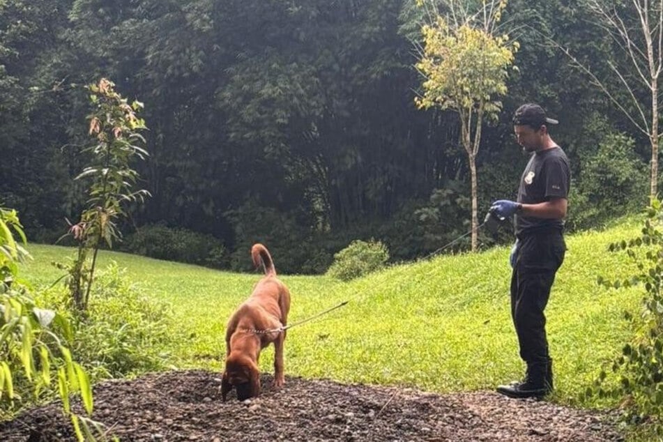 Nach Leichenfund in Costa Rica: Deutsche Behörden starten Ermittlungen