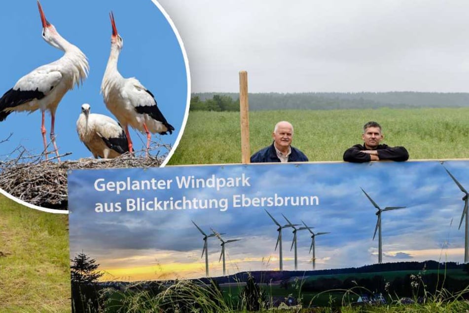 Störche sollen in sächsischer Gemeinde Bau von Windrädern verhindern