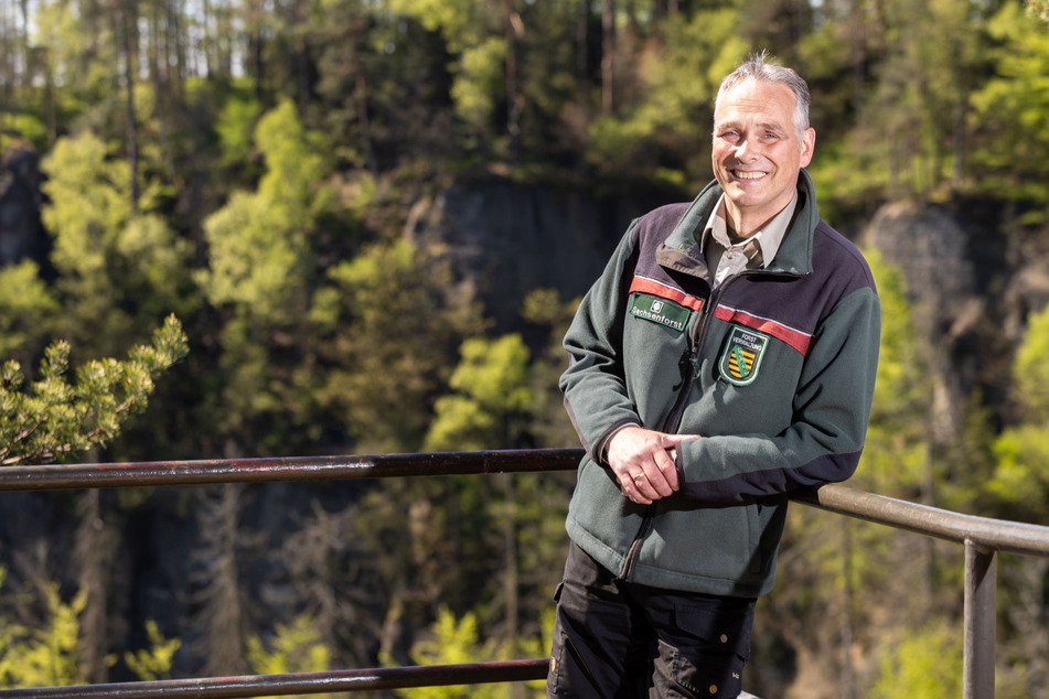 Uwe Borrmeister (52) ist der neue Leiter der Verwaltung des Nationalparks Sächsische Schweiz. Seine bisherige Funktion als Leiter des benachbarten Forstbezirks Neustadt wird er noch bis Herbst parallel ausüben.