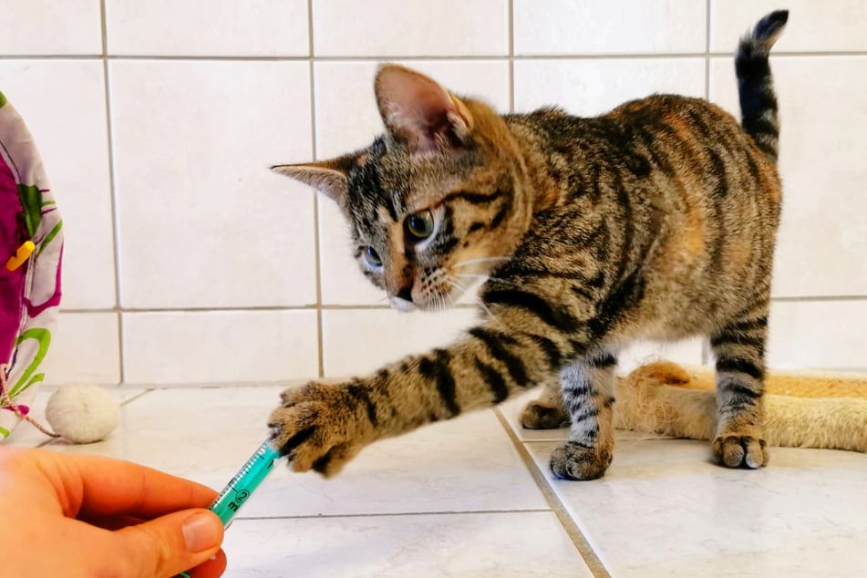 Diese Plattform erfüllt Wünsche und fördert echte Herzensangelegenheiten