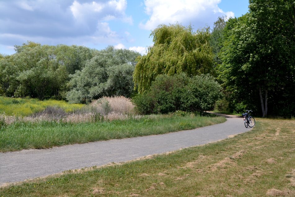 In einem Waldstück in Dölitz-Dösen wurden am Donnerstag drei Jungen beschossen. (Archivbild)