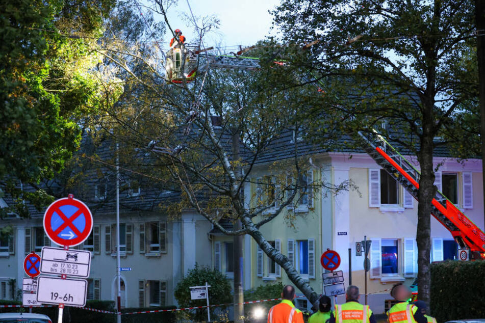 In Solingen war ein Baum auf eine Oberleitung gekracht.