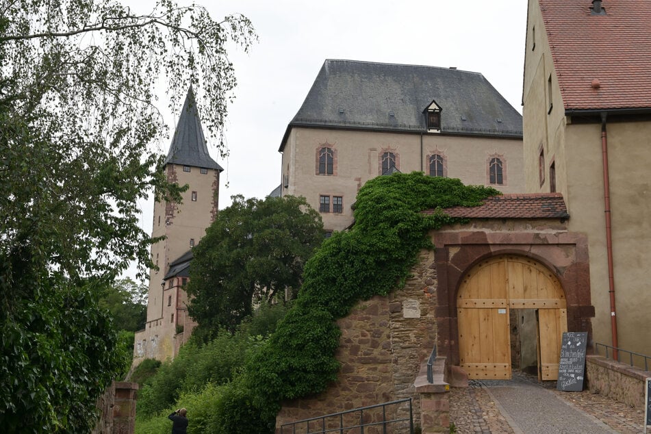 Dieser Erlebnistag am Schloss Rochlitz führt Euch in den Wald.