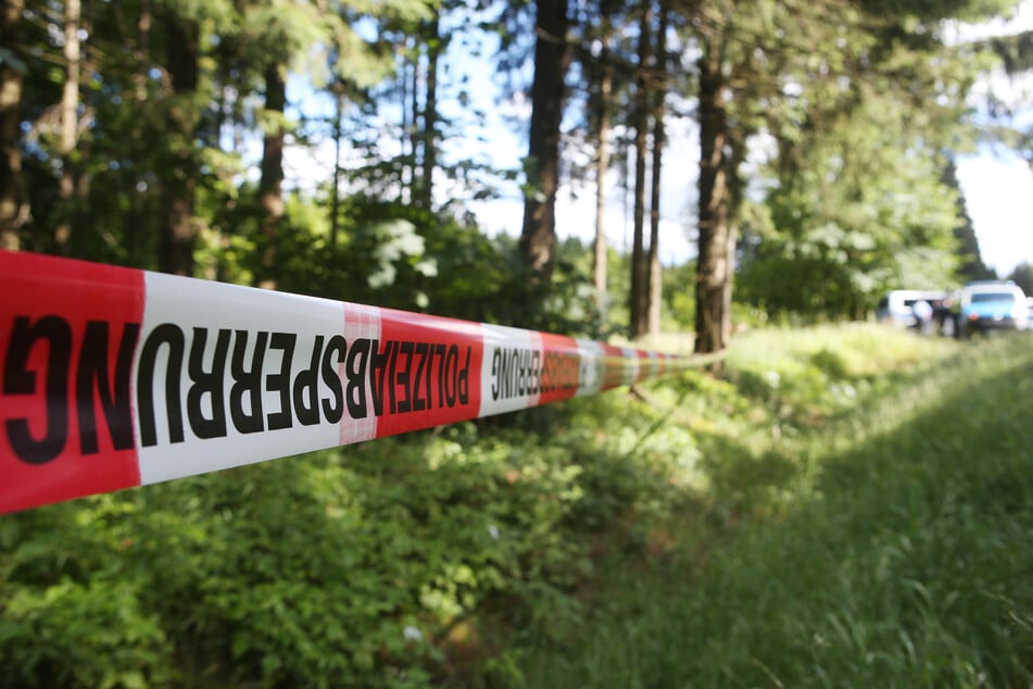 Die Leiche einer Seniorin wurde in einem Waldstück bei Wolfsburg entdeckt. (Symbolfoto)