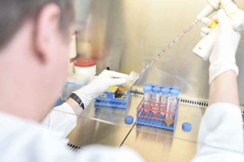 Ein Krebsforscher arbeitet in einem Labor des Nationalen Zentrums für Tumorerkrankungen mit einer Pipette.