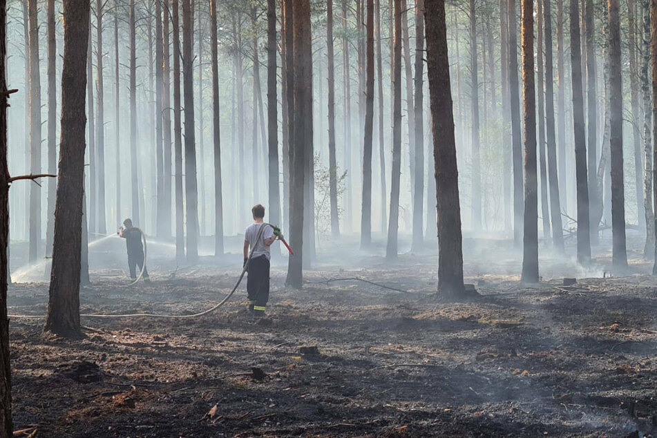 Feuerwehrleute löschen einen Brand in Baruth, wo am Dienstag zwei Hektar Wald in Flammen standen.