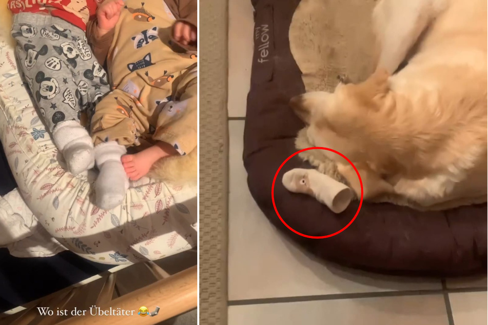 Wie hat es das Söckchen vom Baby-Fuß in den Hundekorb geschafft?