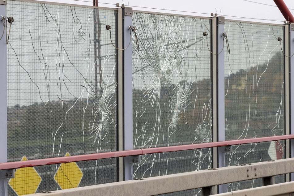 Die beschädigten Vogelschutz-Glaswände waren selbst für den Laien erkennbar.