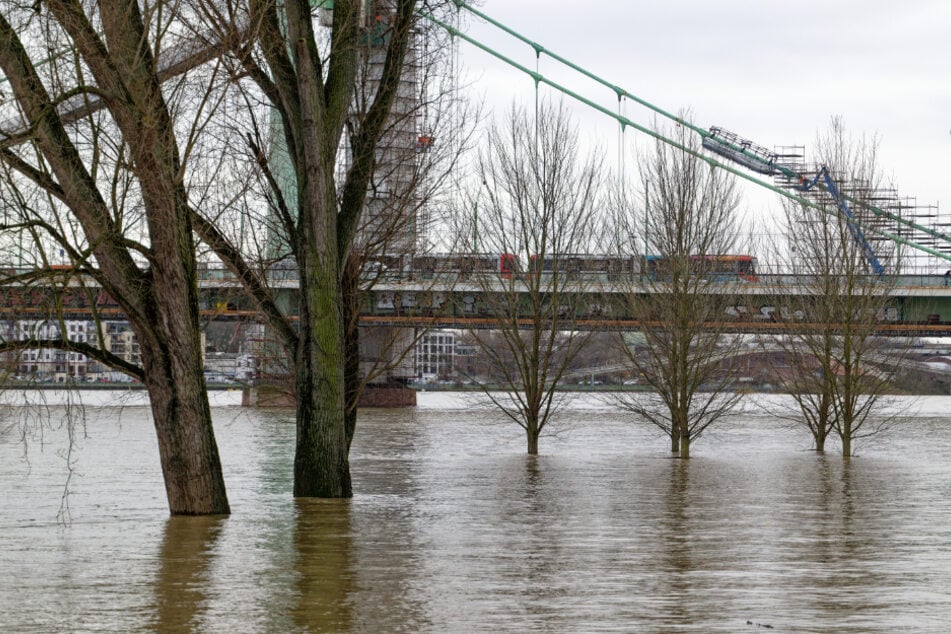 In Köln rechnen Experten wieder mit Hochwasser bis zum Mittwochnachmittag.