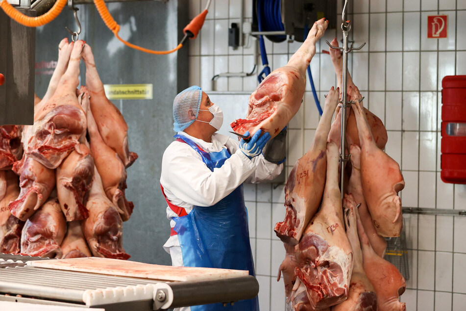In einem sächsischen Schlachtbetrieb werden Schweinekeulen zerlegt. Seit die ASP-Seuche im Freistaat grassiert, dürfen Schweine aus diesen Gebieten hier nicht mehr geschlachtet werden.