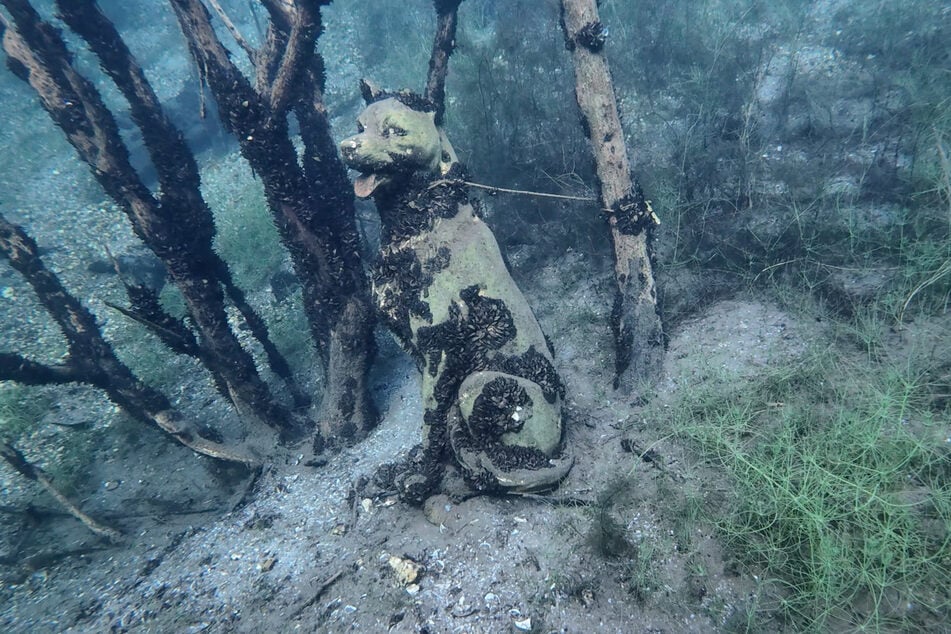 Am Grund des Kulkwitzer Sees kann man unter anderem eine Hunde-Figur sehen, die aussieht, als wäre sie angeleint.