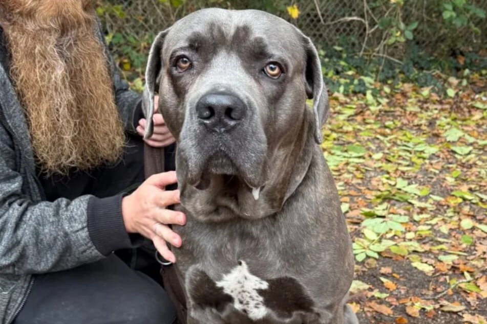 Spencer wurde etwa im Jahr 2023 geboren und ist damit noch ziemlich jung.