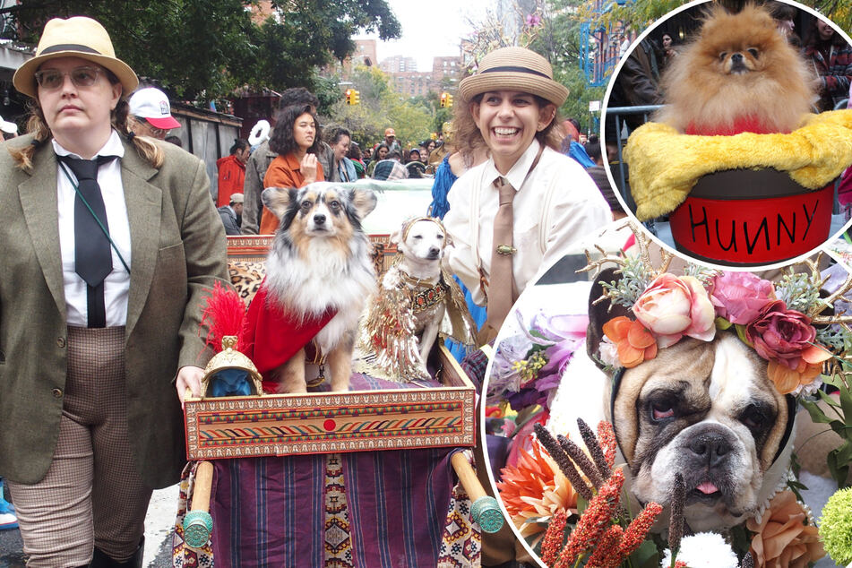 Vierbeiner in gruselige Kostüme gesteckt! 15.000 Besucher feiern Halloween-Parade für Hunde