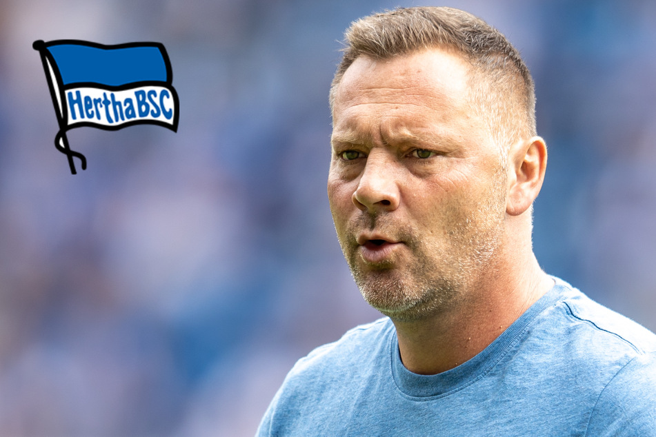 Hertha-Trainer Dardai verspricht: "Bis Weihnachten oder Sommer ein Team"