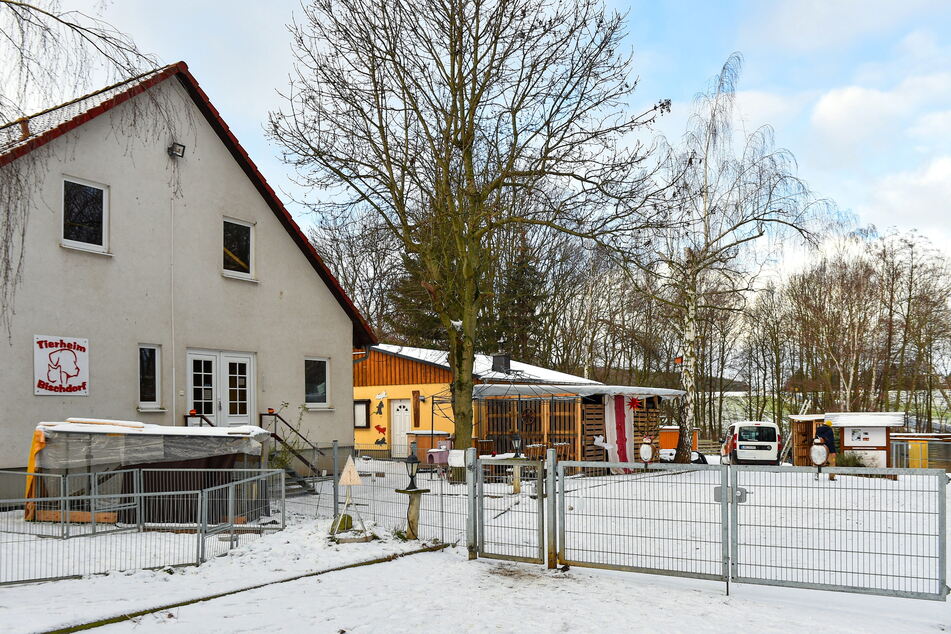 Das Tierheim Bischdorf hat bereits Erfahrung mit Schafen.