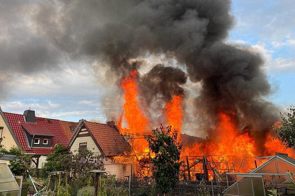 Carport gerät in Brand und fackelt halbes Haus ab: Feuerwehr rettet Katze aus Flammenhölle