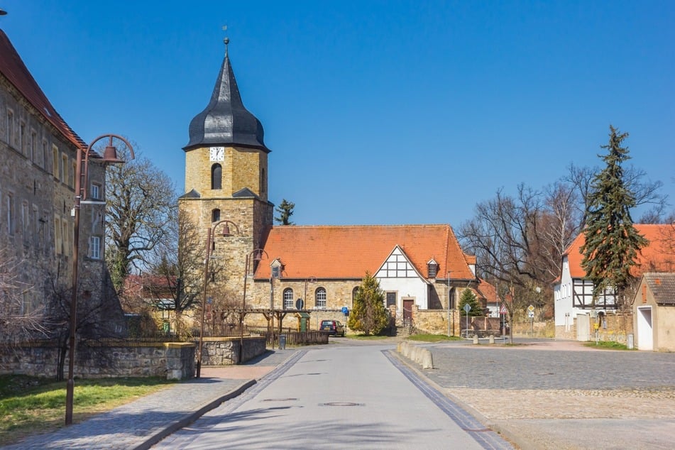 Das Schloss Schochwitz sucht einen neuen Schlossherren oder eine -herrin.