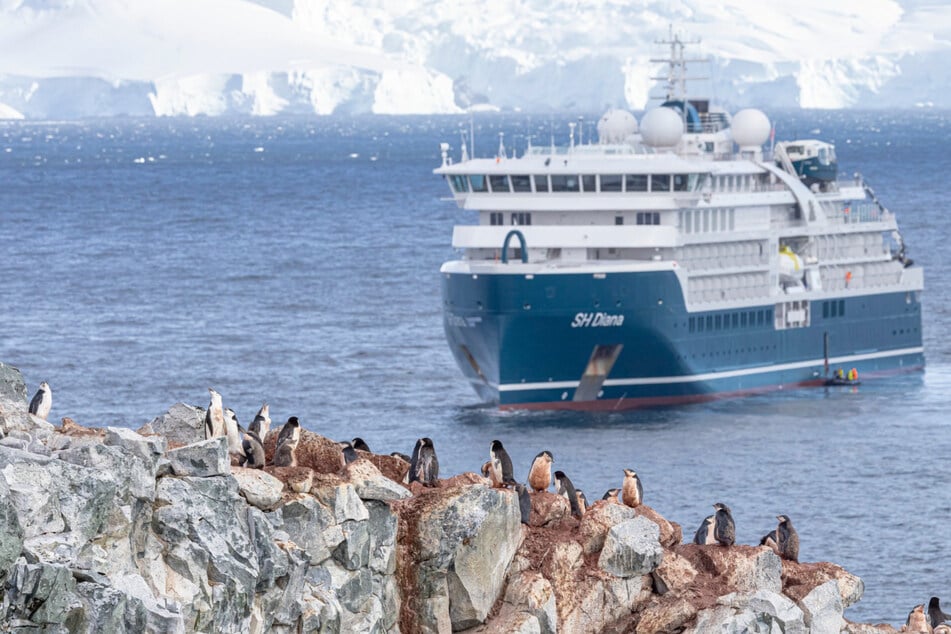 Hungerstreik bei Luxuskreuzfahrt: Antarktis-Reise plötzlich abgesagt