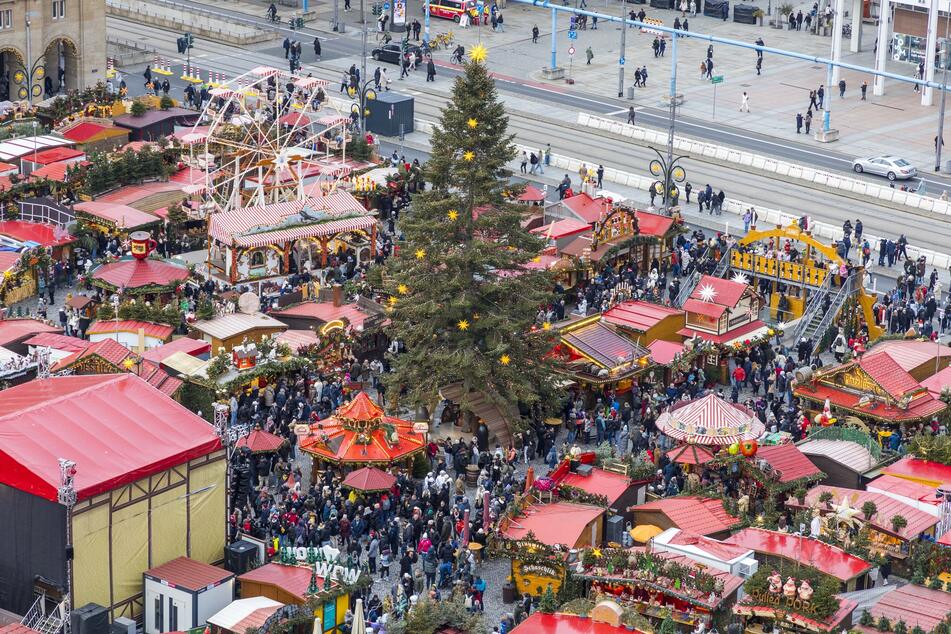 Wie auch im Jahr 2024 soll das geschmückte Nadelgewächs den Striezelmarkt erstrahlen lassen. (Archivfoto)