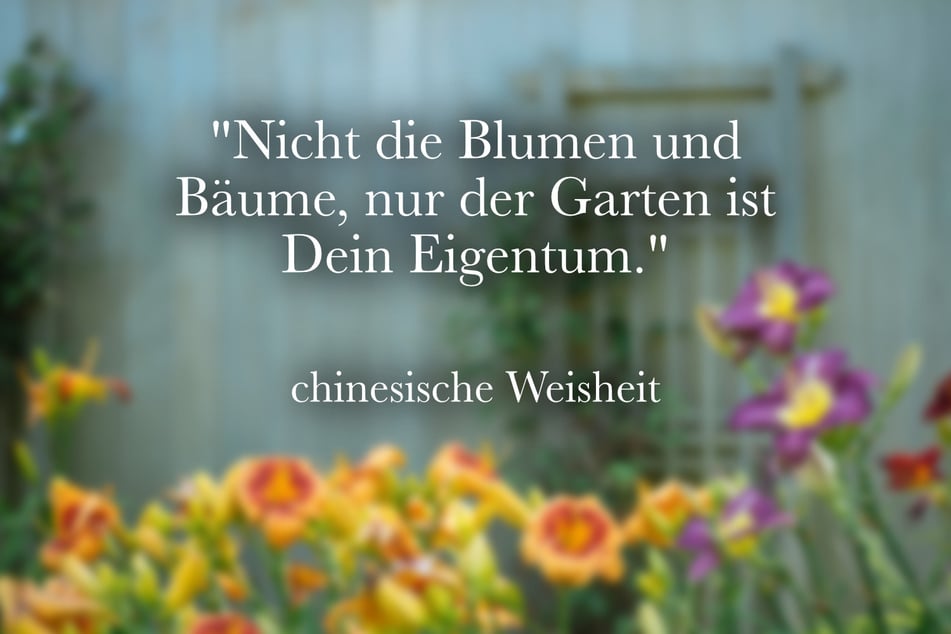 Diese chinesische Weisheit über Gärten regt zum Nachdenken an.