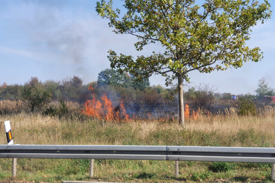 Bei dem Feuer sind etwa 2000 Quadratmeter Wiese abgebrannt.
