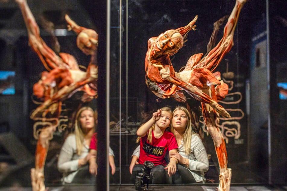 Diese extravagante Ausstellung kommt nach Chemnitz