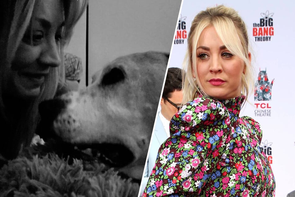 Big Bang Theory star Kaley Cuoco mourns the loss of a beloved family ...