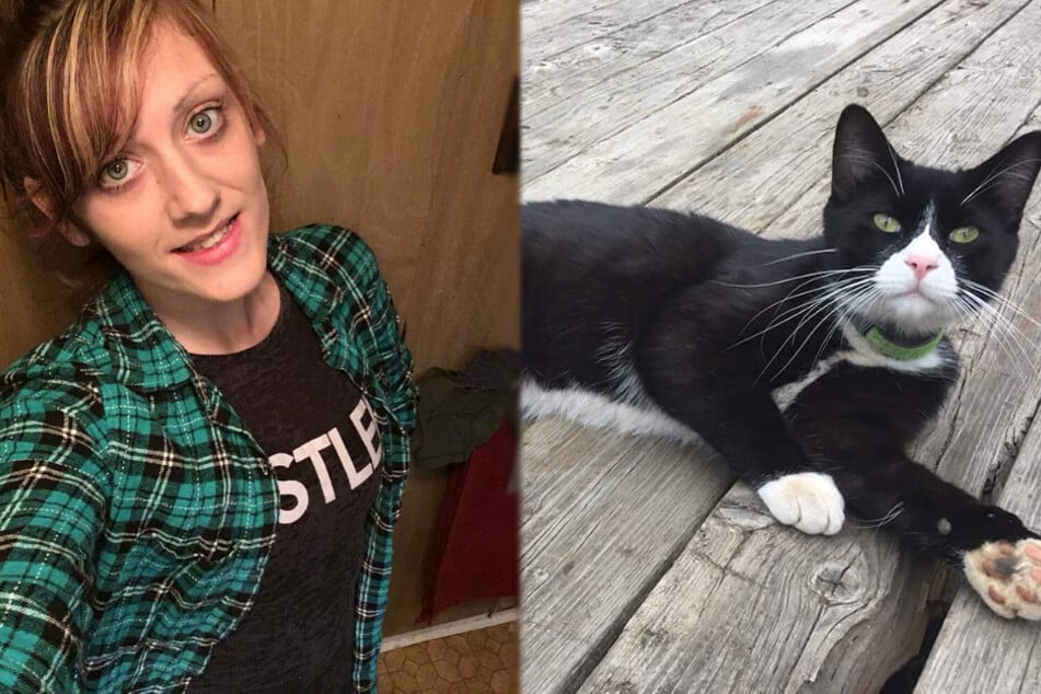 Family gives up hope of finding missing cat, but one Facebook post changes everything!