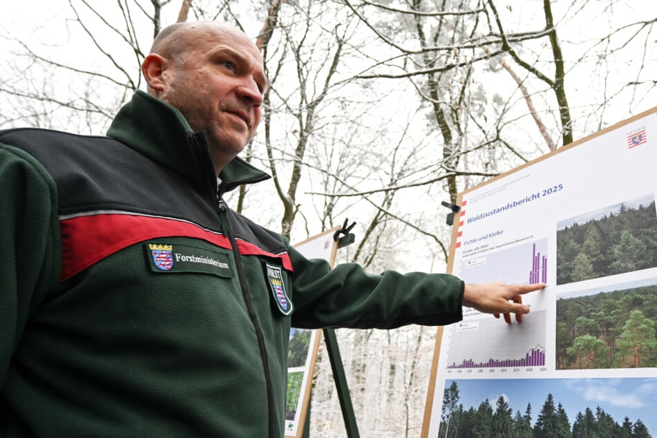 Zustandsbericht: So schlecht steht es um den Wald in Hessen