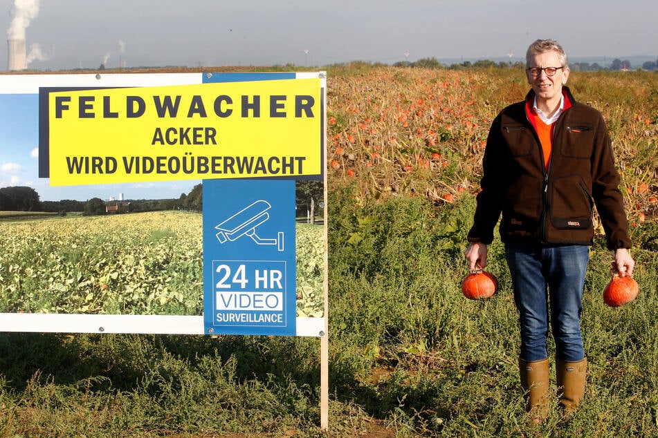 Biobauer Dirk Schulte-Uebbing aus Dortmund setzt nun auf Videoüberwachung, nachdem Unbekannte ihm massenweise Kürbisse gestohlen haben.