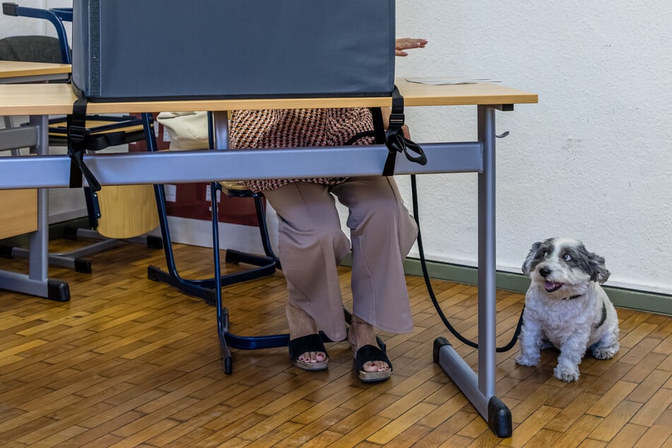 Eine Wahlberechtigte wurde bei ihrer Stimmabgabe von ihrem Hund begleitet.