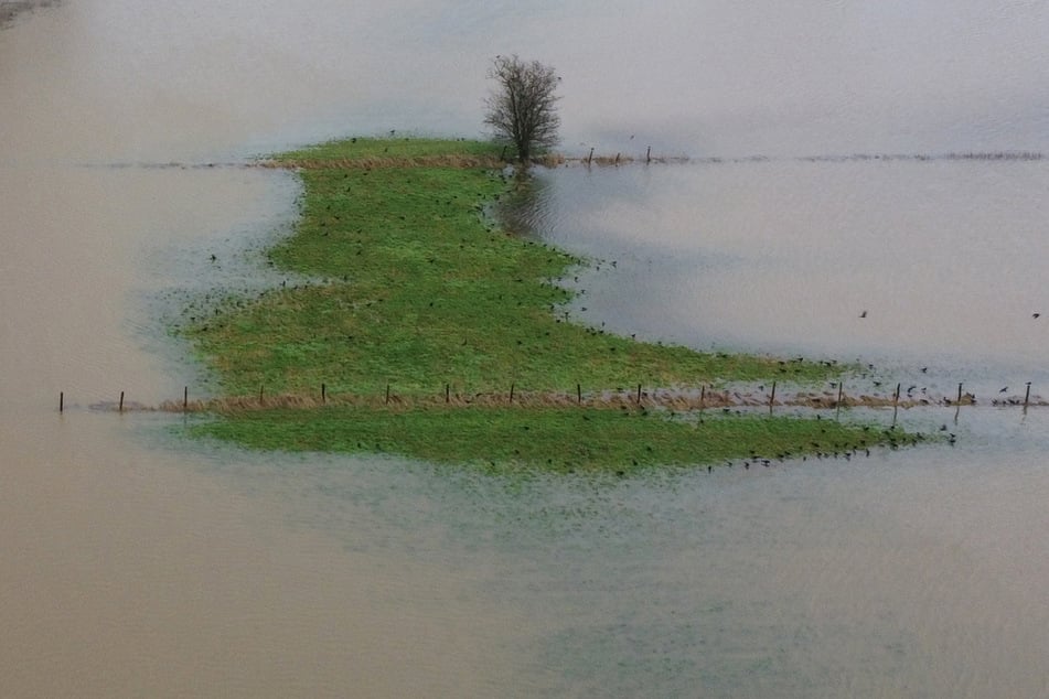 Aufgrund der hohen Regenfälle sind viele Flächen im Norden überflutet.
