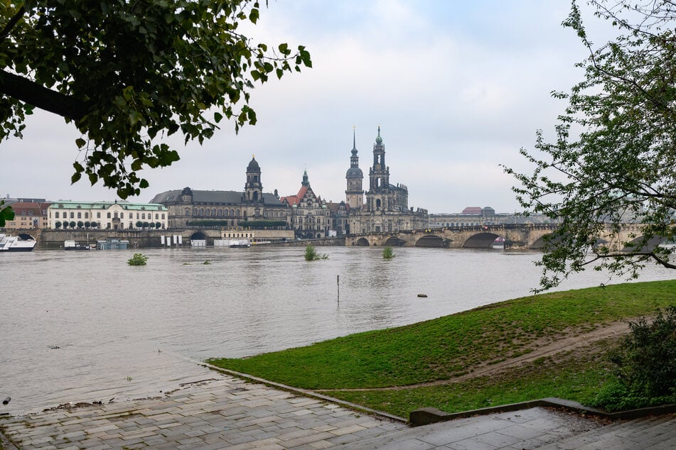 In Dresden liegt der Elbpegel derzeit bei 5,89 Meter.