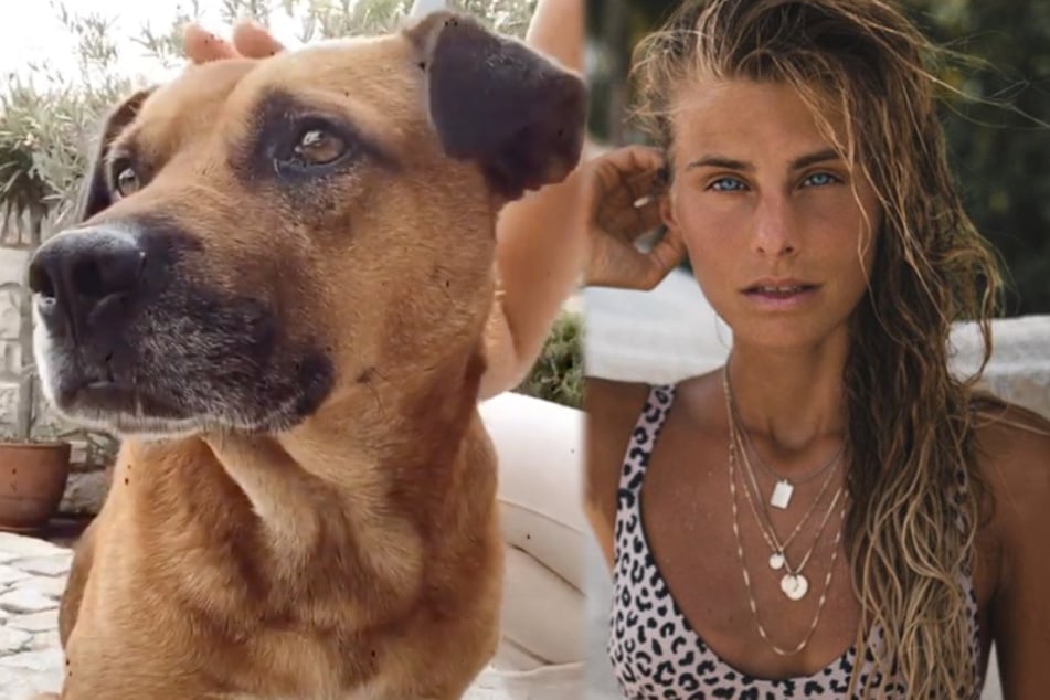 Sie kennen sich erst 24 Stunden und trotzdem hat es gefunkt: Debi und Straßenhund "Django".