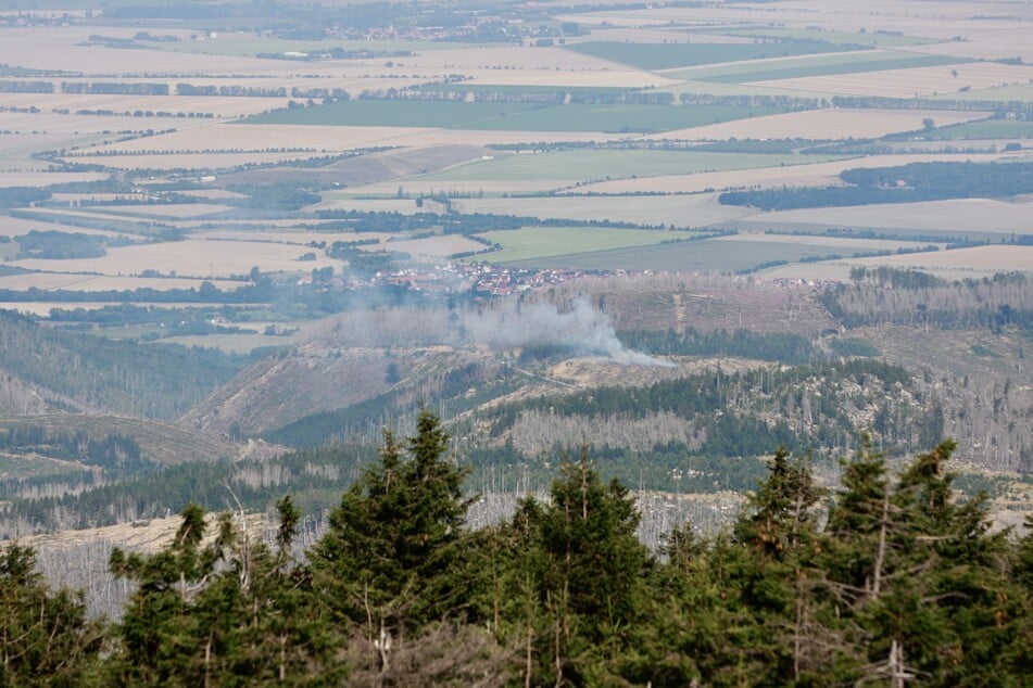 Ein Großaufgebot der Feuerwehr und ein Flugzeug konnten den Brand eindämmen.